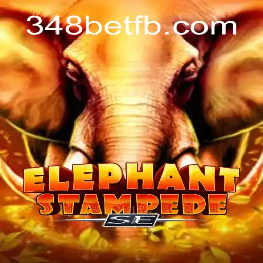 348 bet A Plataforma de Apostas #1 do Brasil Casino App